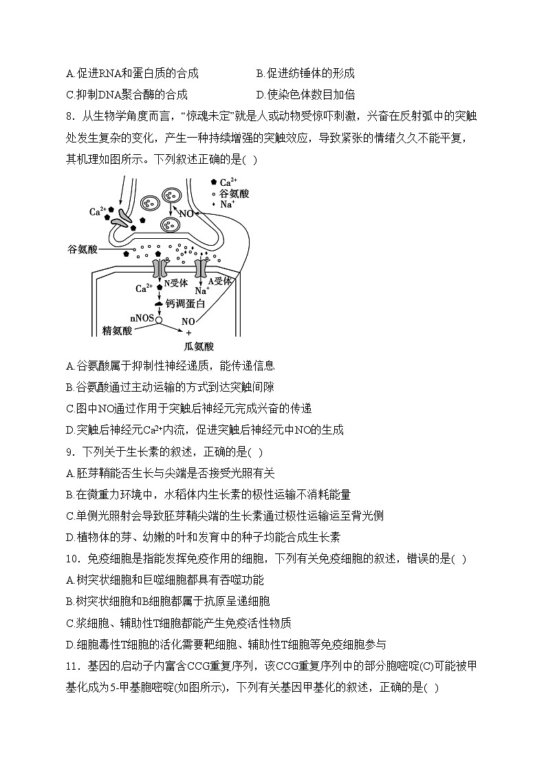 海南省海口市第一中学2023-2024学年高三年级下学期4月月考（B）卷生物试卷(含答案)第3页
