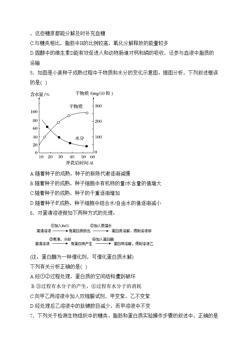 河南省光山县第二高级中学2024届高三上学期9月月考生物试卷(含答案)02