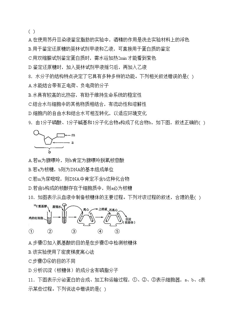 河南省光山县第二高级中学2024届高三上学期9月月考生物试卷(含答案)03