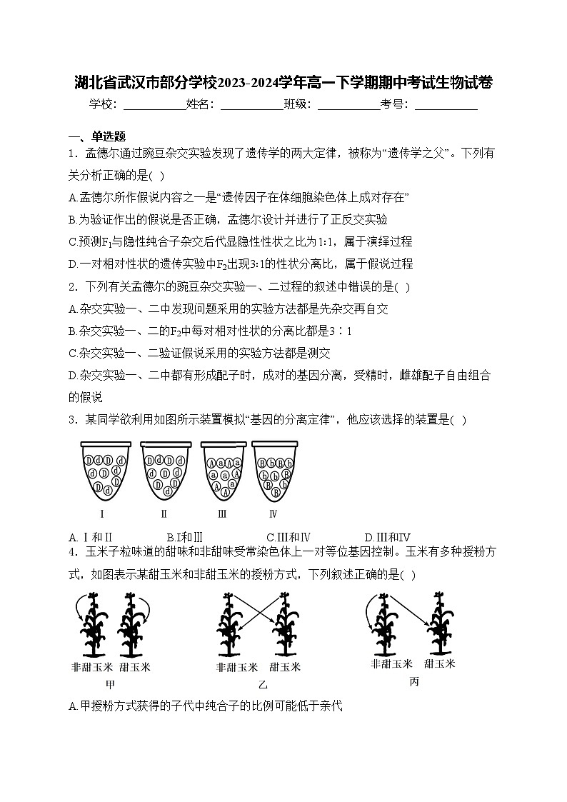 湖北省武汉市部分学校2023-2024学年高一下学期期中考试生物试卷(含答案)第1页