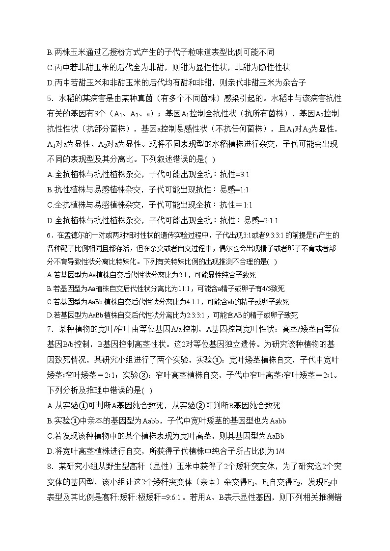 湖北省武汉市部分学校2023-2024学年高一下学期期中考试生物试卷(含答案)第2页