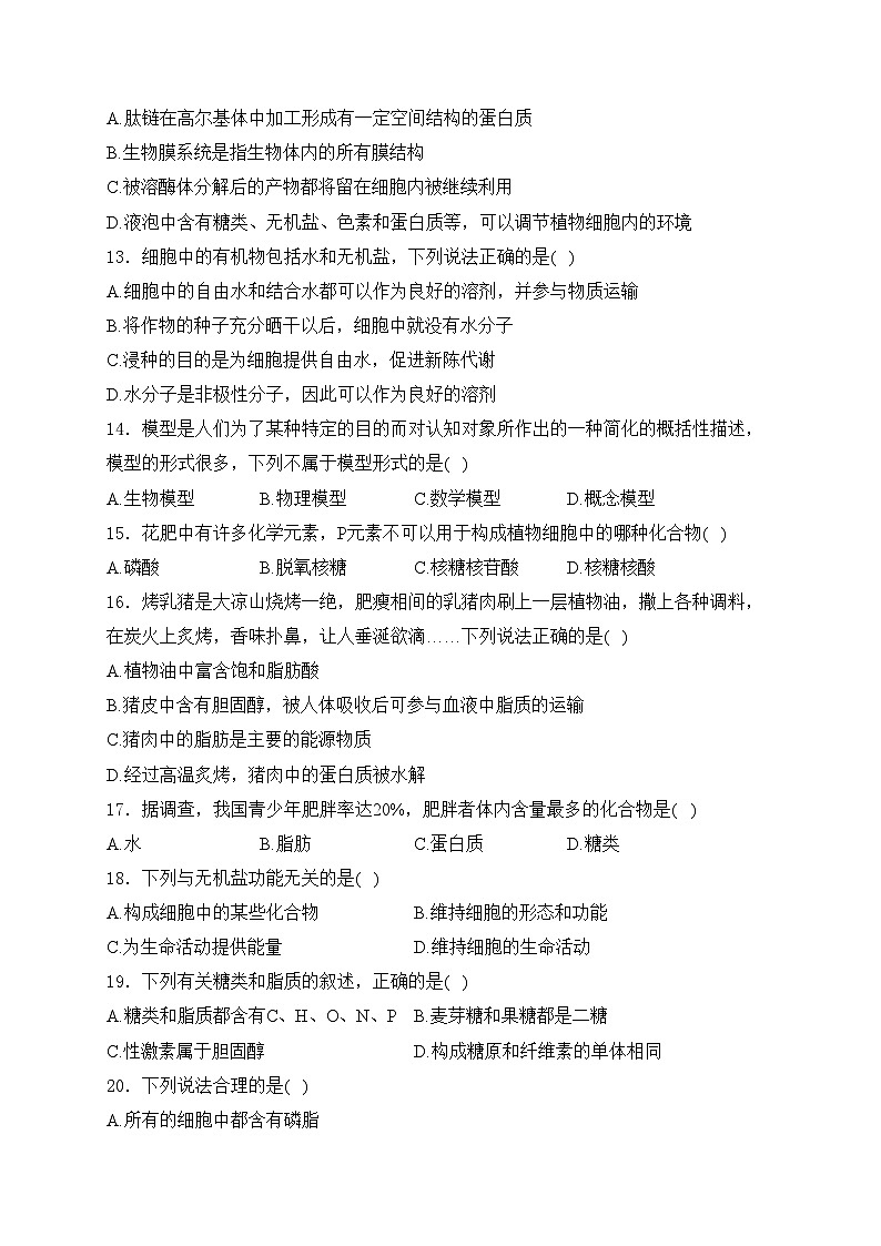 四川省凉山州西昌市2023-2024学年高一上学期期中考试生物试卷(含答案)第3页