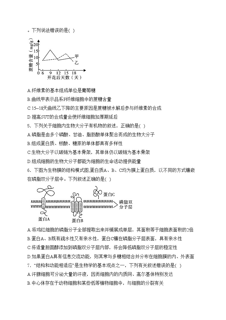 咸阳市实验中学2023-2024学年高一上学期第二次月考生物试卷(含答案)02