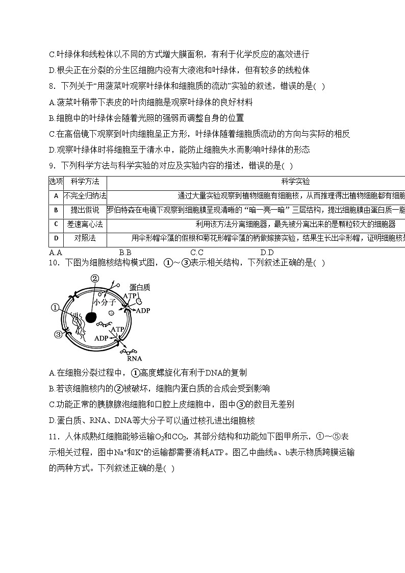 咸阳市实验中学2023-2024学年高一上学期第二次月考生物试卷(含答案)03