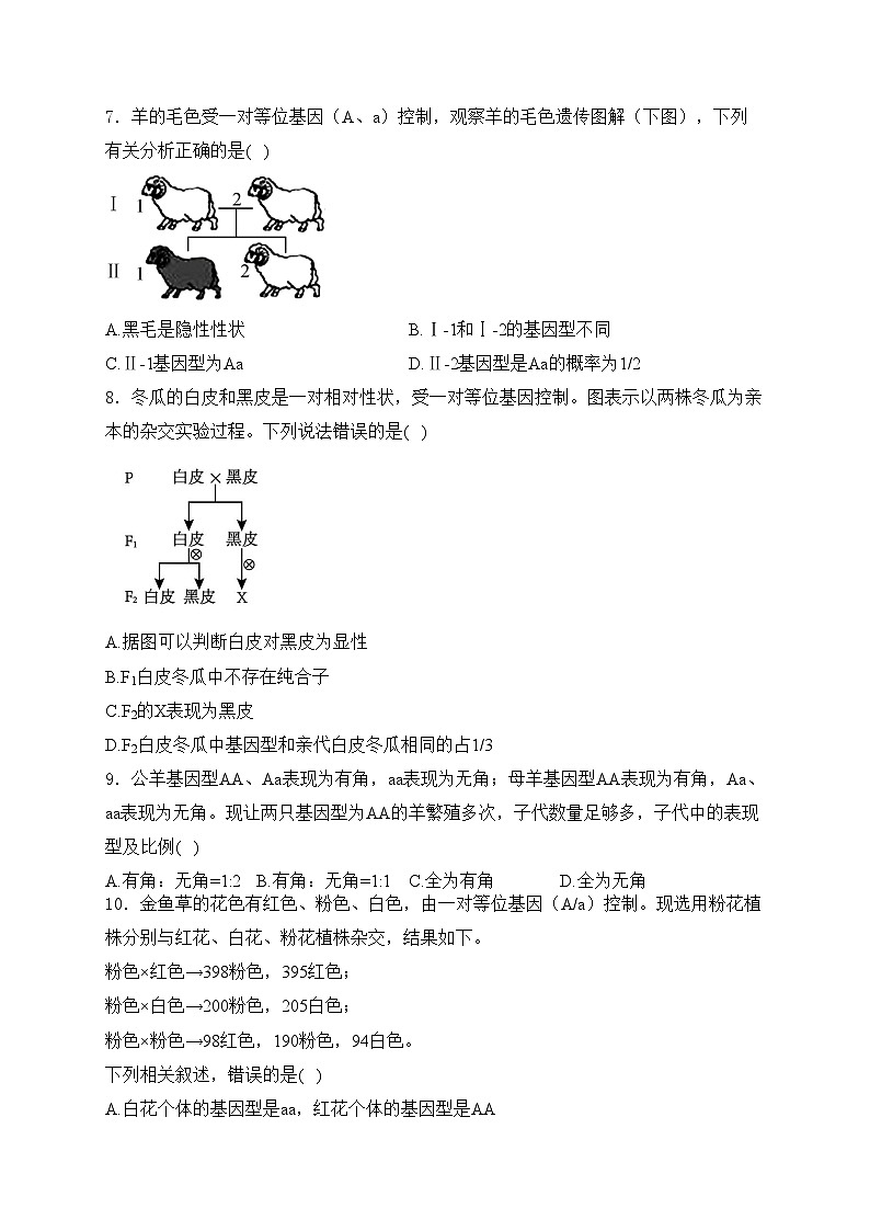 项城市第三高级中学2023-2024学年高一下学期第一次月考生物试卷(含答案)第2页