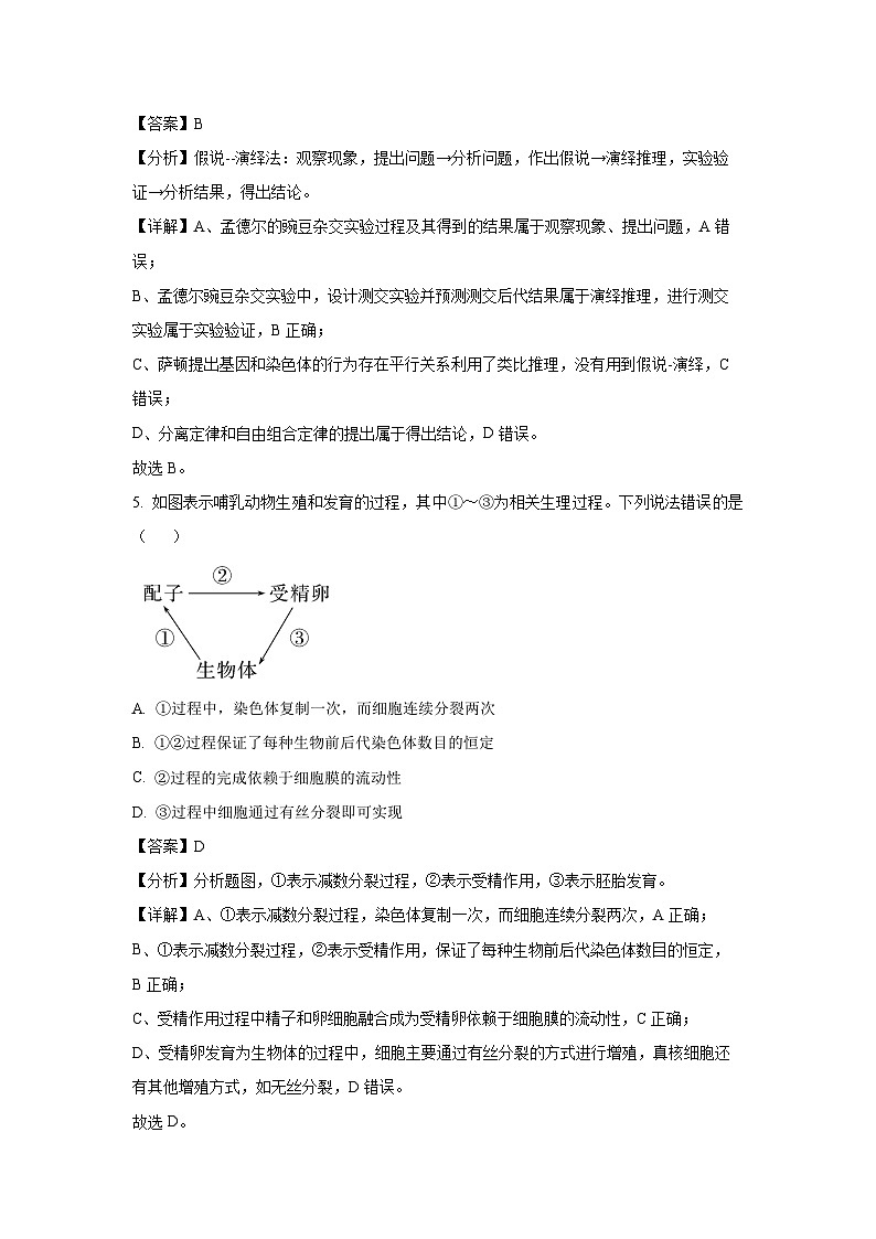 [生物][期末]陕西省渭南市富平县2023-2024学年高一下学期期末质量检测(解析版)第3页