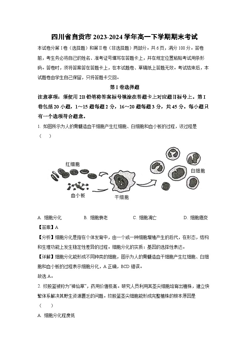 [生物][期末]四川省自贡市2023-2024学年高一下学期期末考试(解析版)第1页