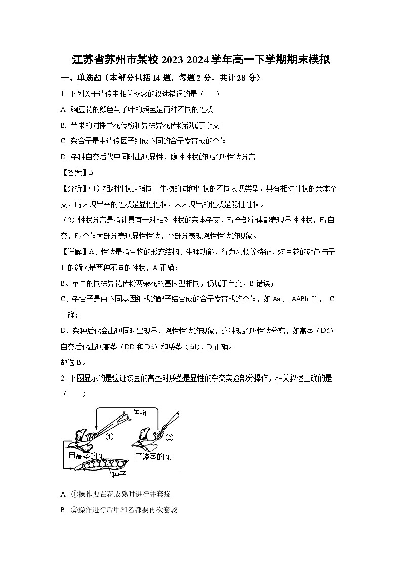 [生物][期末]江苏省苏州市某校2023-2024学年高一下学期期末模拟(解析版)第1页