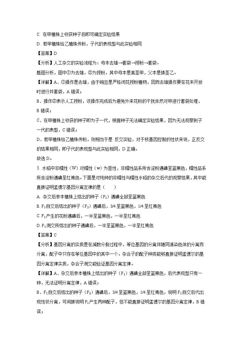 [生物][期末]江苏省苏州市某校2023-2024学年高一下学期期末模拟(解析版)第2页