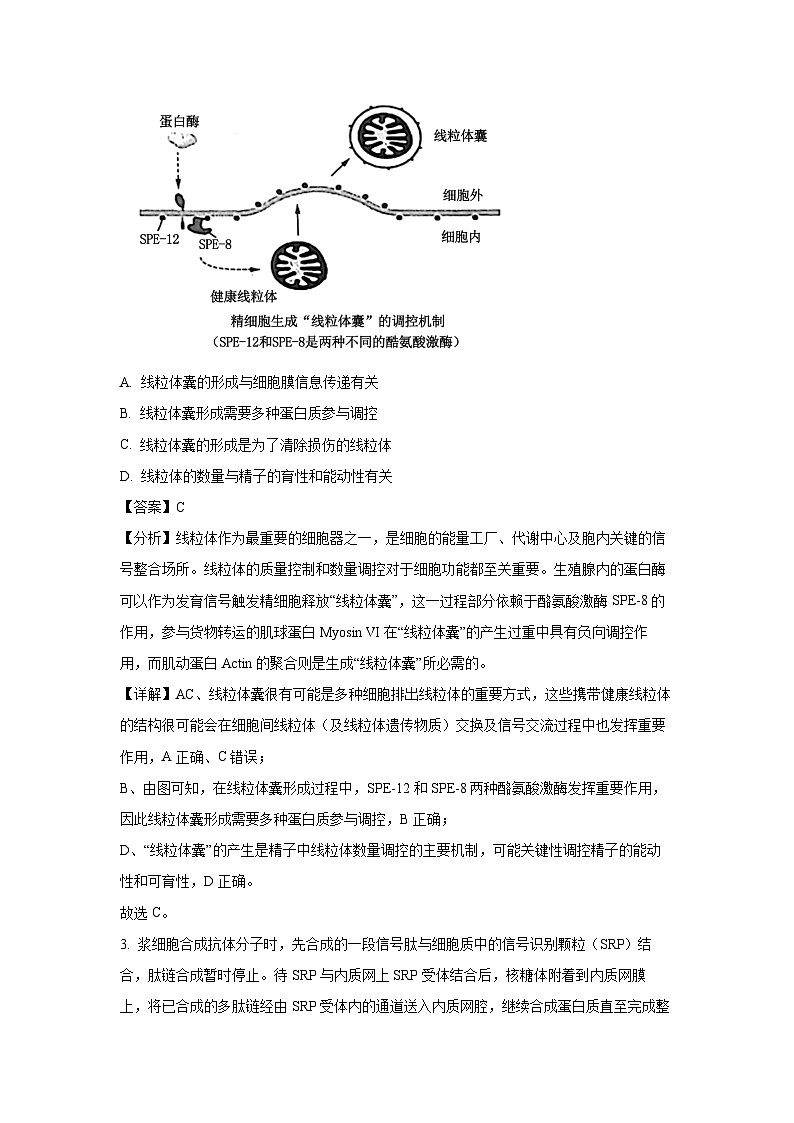 [生物][期末]山东省济南市2023—2024学年高一下学期期末考试(解析版)第2页