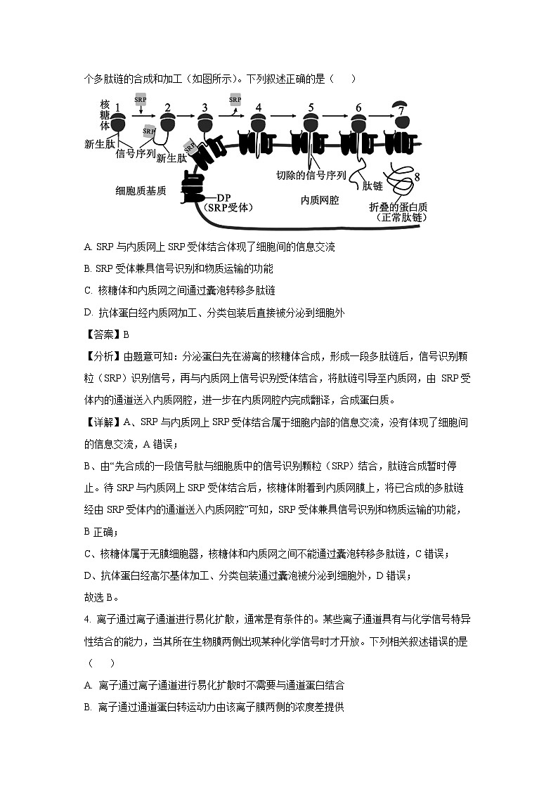 [生物][期末]山东省济南市2023—2024学年高一下学期期末考试(解析版)第3页