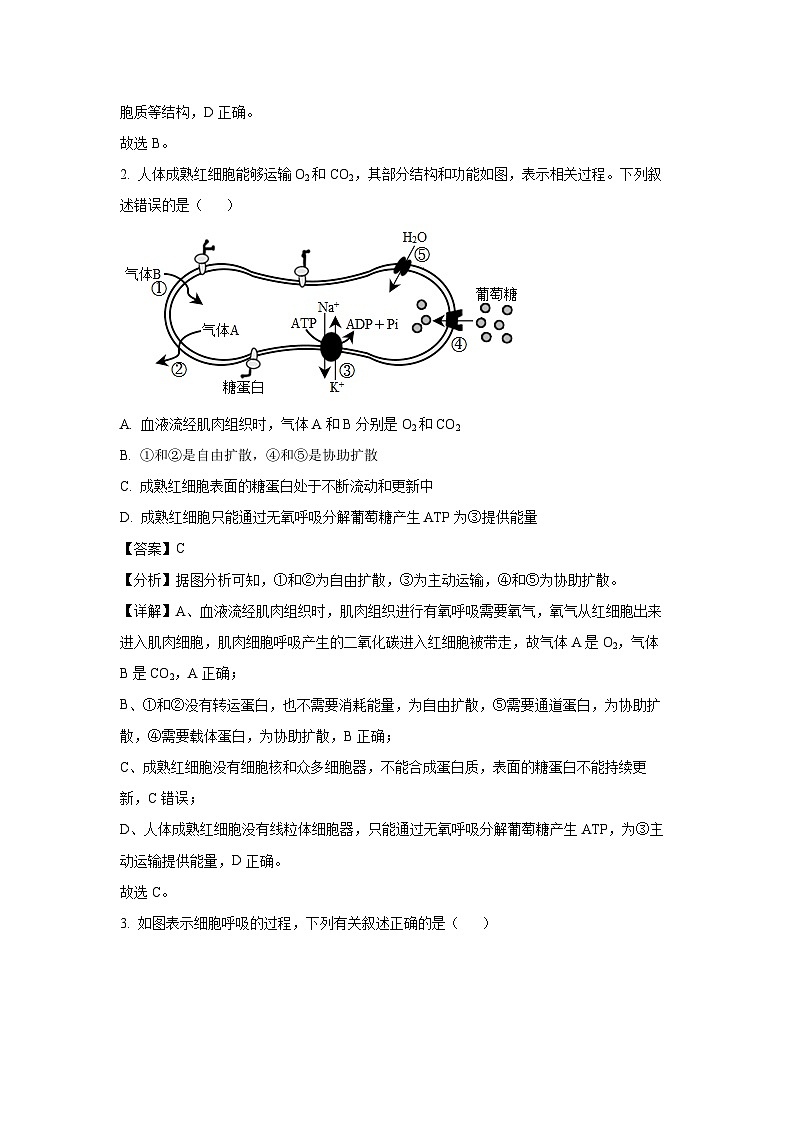 [生物][期末]湖南省郴州市2023-2024学年高一下学期期末考试(解析版)02