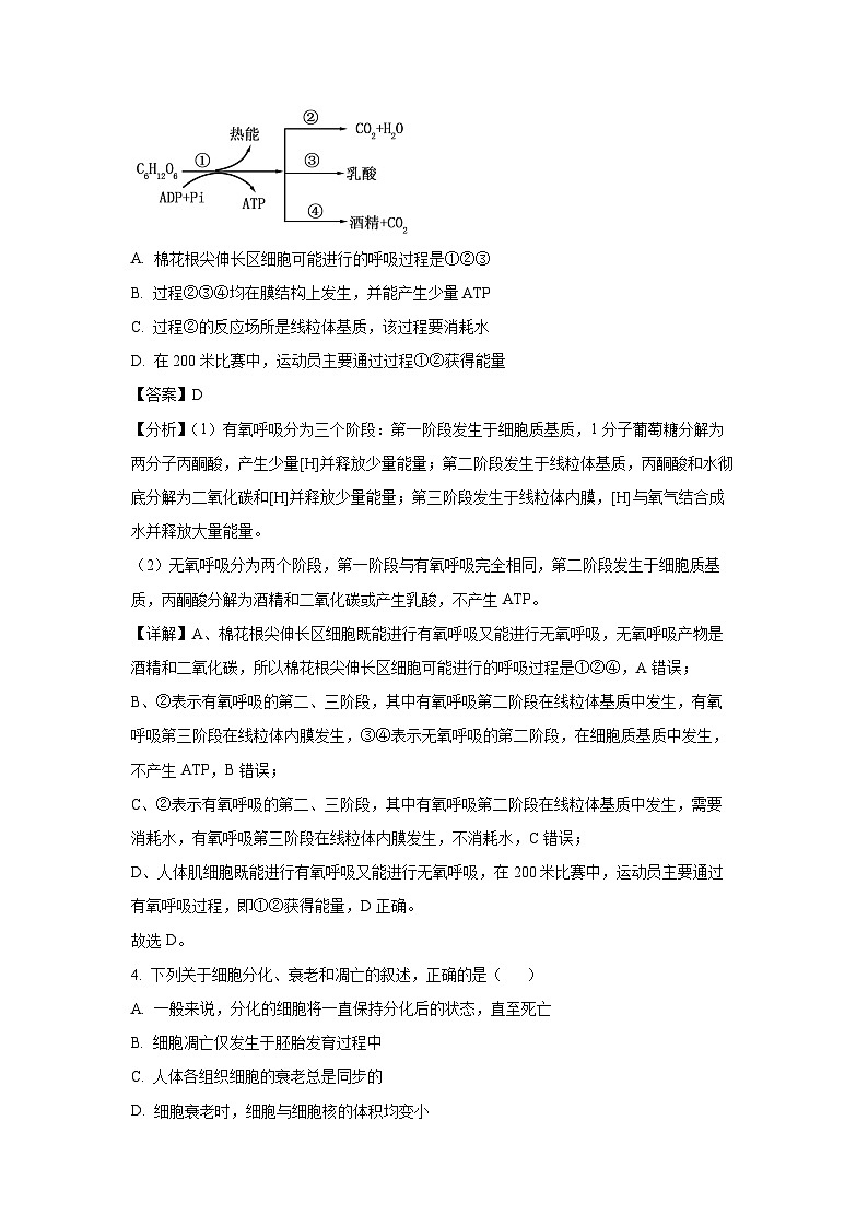 [生物][期末]湖南省郴州市2023-2024学年高一下学期期末考试(解析版)03