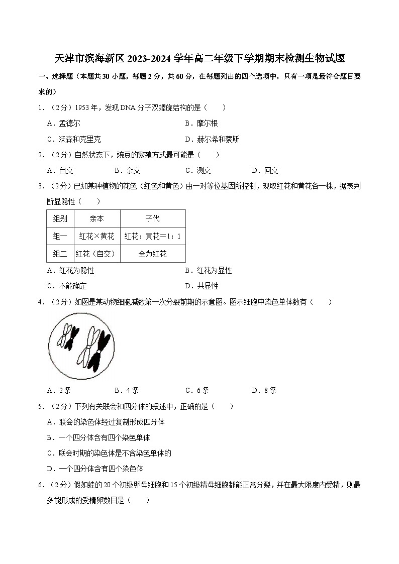 天津市滨海新区2023-2024学年高二年级下学期期末检测生物试题（含答案）01