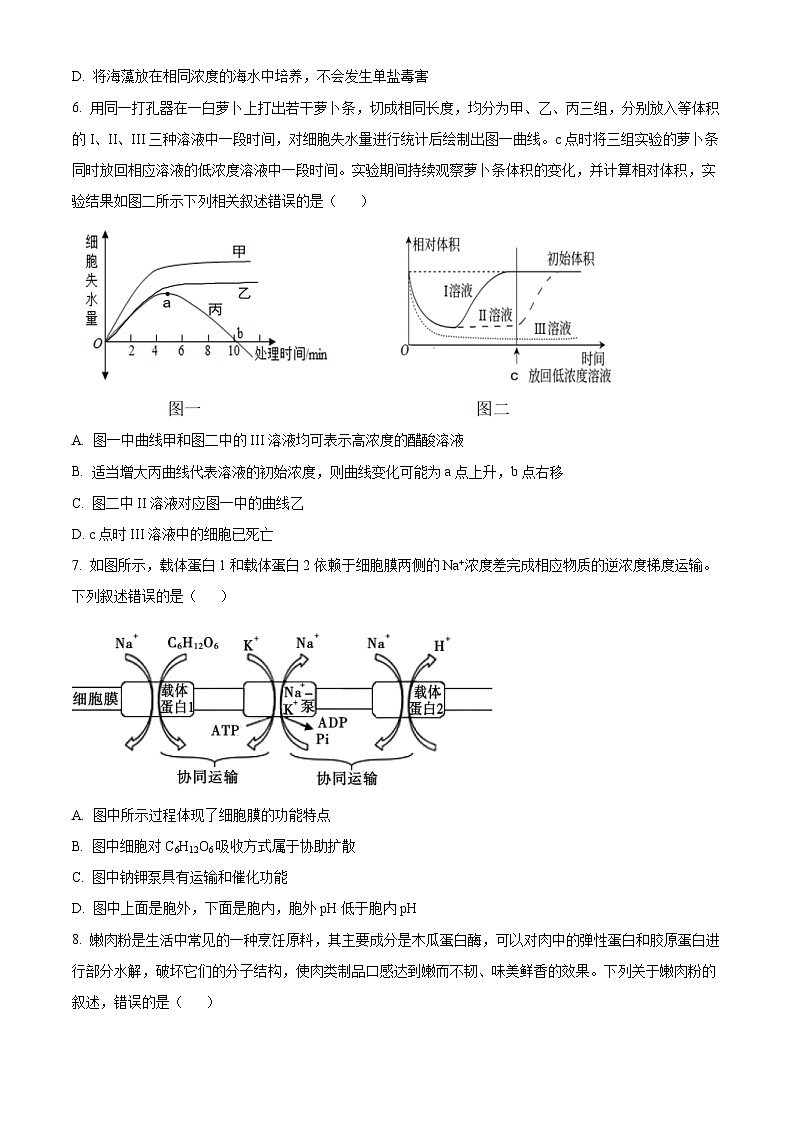 精品解析：河北省邢台市一中2022-2023学年高一上学期第三次月考生物试题（原卷版+解析版）03