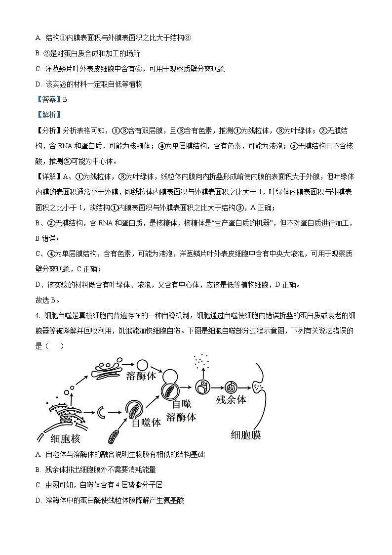 精品解析：河北省邢台市一中2022-2023学年高一上学期第三次月考生物试题（原卷版+解析版）03