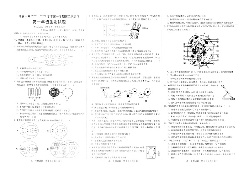河北省邢台市信都区邢台市第一中学2023-2024学年高一上学期11月月考生物试题（含答案）01