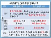 高中生物人教版2019必修2遗传与进化6-3种群基因组成的变化与物种的形成 课件
