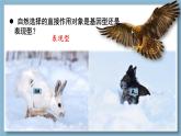 高中生物人教版2019必修2遗传与进化6-3种群基因组成的变化与物种的形成 课件