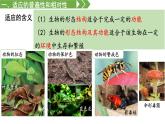 高中生物人教版2019必修2遺傳與進(jìn)化6-2自然選擇與適應(yīng)的形成 課件
