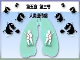 高中生物人教版2019必修2遗传与进化5-3人类遗传病 课件