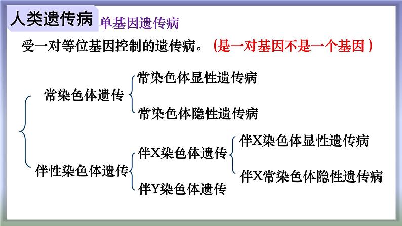 高中生物人教版2019必修2遗传与进化5-3人类遗传病精品课件第8页