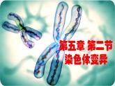 高中生物人教版2019必修2遺傳與進(jìn)化5-2染色體變異 課件