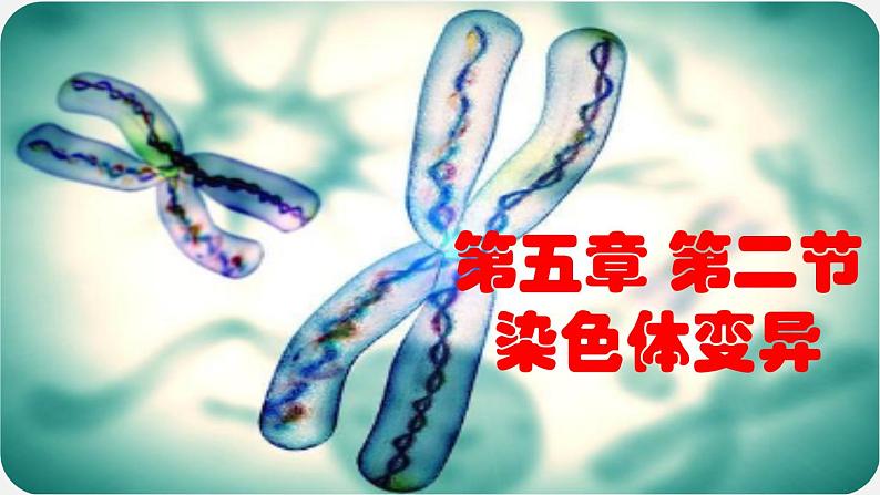 高中生物人教版2019必修2遗传与进化5-2染色体变异精品课件第1页