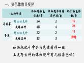 高中生物人教版2019必修2遺傳與進(jìn)化5-2染色體變異 課件