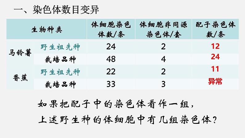 高中生物人教版2019必修2遗传与进化5-2染色体变异精品课件第3页