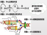高中生物人教版2019必修2遗传与进化5-1基因突变和基因重组 课件