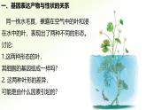 高中生物人教版2019必修2遺傳與進(jìn)化4-2基因表達(dá)與性狀的關(guān)系 課件