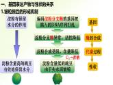 高中生物人教版2019必修2遺傳與進(jìn)化4-2基因表達(dá)與性狀的關(guān)系 課件