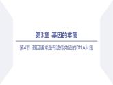 高中生物人教版2019必修2遗传与进化3-4基因通常是有遗传效应的DNA片段 课件2