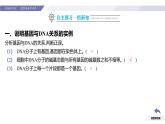 高中生物人教版2019必修2遗传与进化3-4基因通常是有遗传效应的DNA片段 课件2
