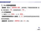 高中生物人教版2019必修2遗传与进化3-4基因通常是有遗传效应的DNA片段 课件2
