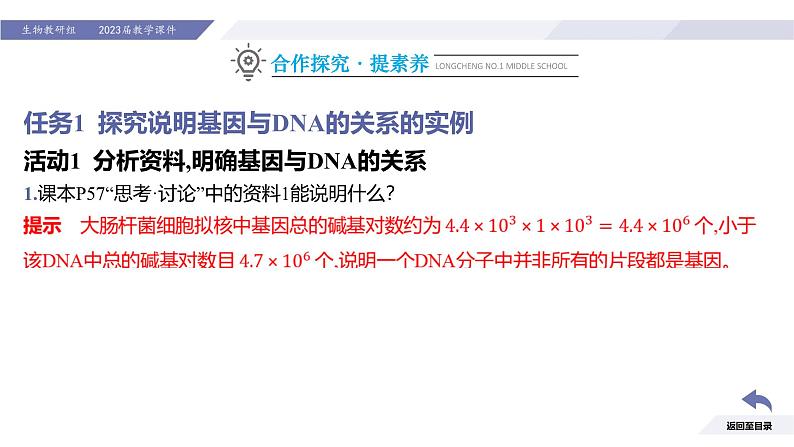 高中生物人教版2019必修2遗传与进化3-4基因通常是有遗传效应的DNA片段精品课件2第7页