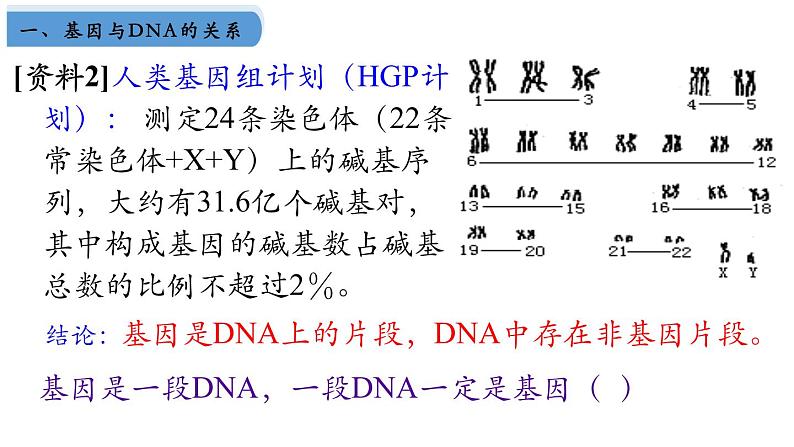 高中生物人教版2019必修2遗传与进化3-4基因通常是有遗传效应的DNA片段 课件104