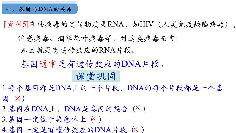 高中生物人教版2019必修2遗传与进化3-4基因通常是有遗传效应的DNA片段 课件107