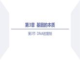 高中生物人教版2019必修2遺傳與進(jìn)化3-3DNA的復(fù)制 課件2