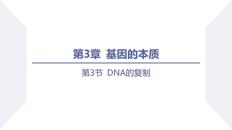 高中生物人教版2019必修2遗传与进化3-3DNA的复制精品课件2第1页