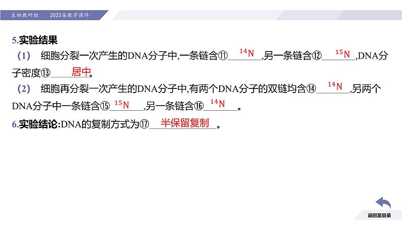 高中生物人教版2019必修2遗传与进化3-3DNA的复制精品课件2第7页