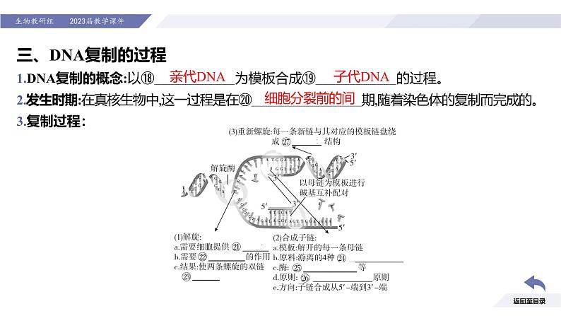 高中生物人教版2019必修2遗传与进化3-3DNA的复制精品课件2第8页