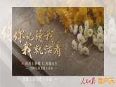 高中生物人教版2019必修2遺傳與進(jìn)化3-3DNA的復(fù)制 課件1