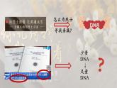 高中生物人教版2019必修2遺傳與進(jìn)化3-3DNA的復(fù)制 課件1