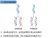 高中生物人教版2019必修2遺傳與進(jìn)化3-3DNA的復(fù)制 課件1