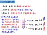 高中生物人教版2019必修2遺傳與進(jìn)化3-3DNA的復(fù)制 課件1