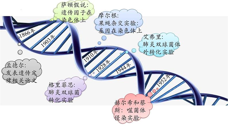 高中生物人教版2019必修2遗传与进化3-2DNA的结构 课件301