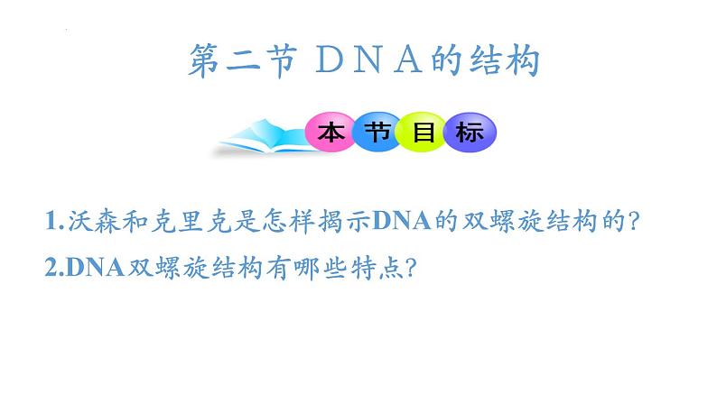 高中生物人教版2019必修2遗传与进化3-2DNA的结构 课件302