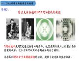 高中生物人教版2019必修2遺傳與進(jìn)化3-2DNA的結(jié)構(gòu) 課件3